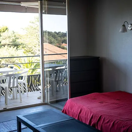 Beautiful Studio Of 33m2 Located In Anglet